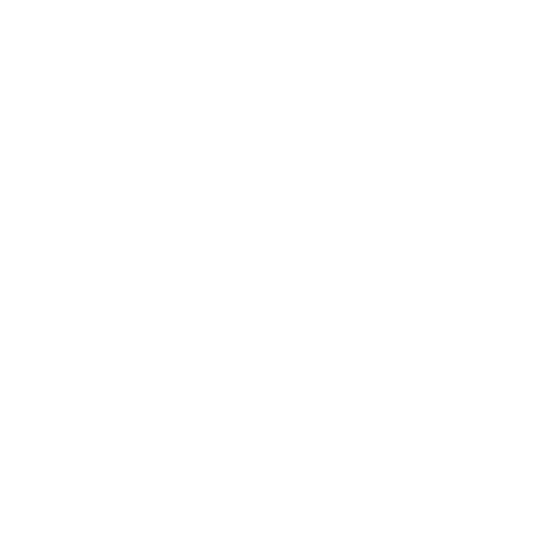 Case Managers